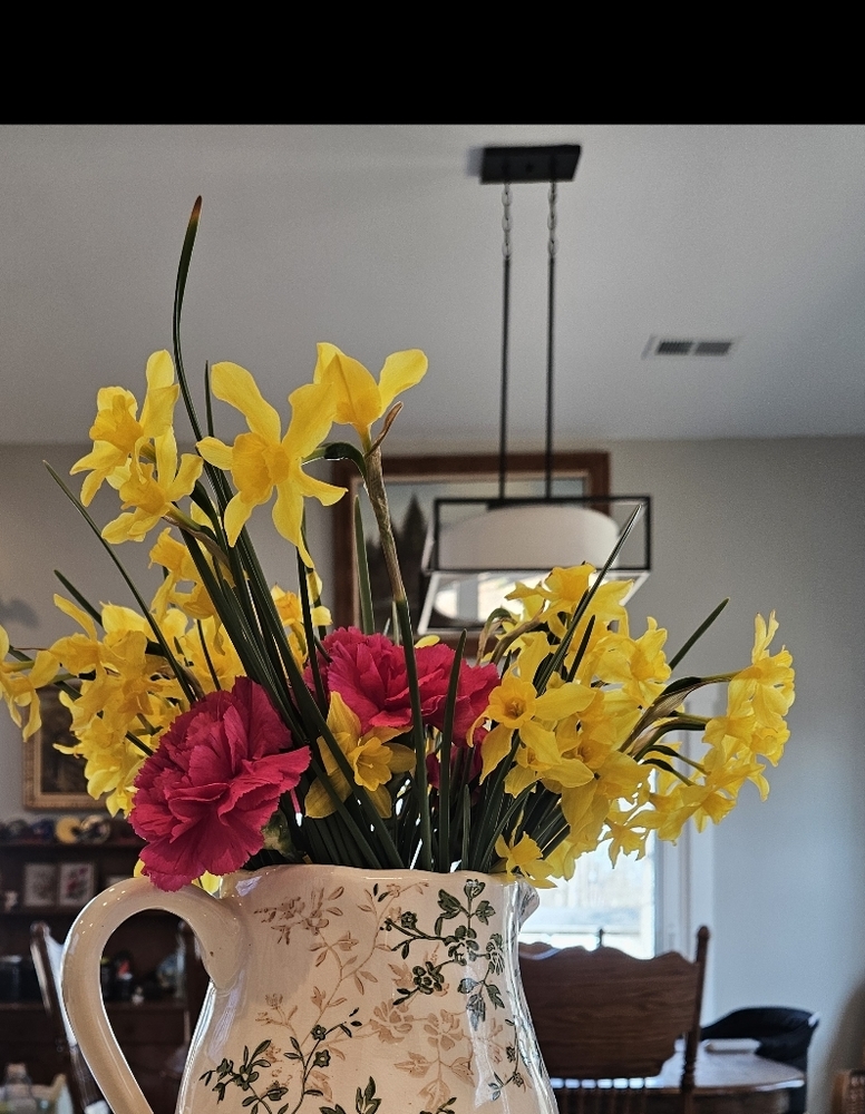 Meet your Posher, Awyn